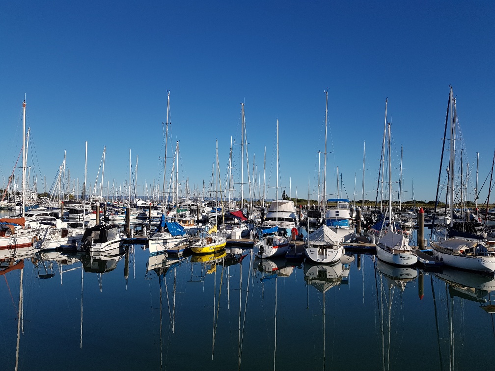 moreton bay 1
